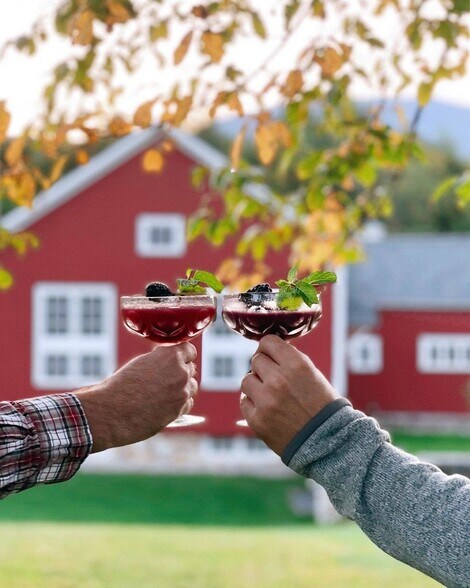 More Photos Of 507 Benson Rd, Manchester Center Specialty For Sale