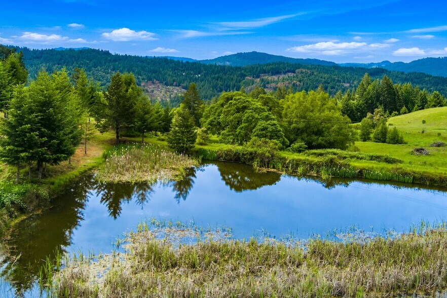 More Photos Of 549 Brown Rd, Myers Flat Land For Sale