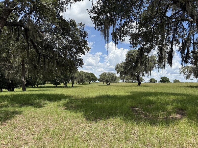 More Photos Of Highway 328 West, Dunnellon Land For Sale
