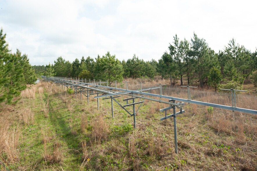 More Photos Of County Road 425 Near Ivy Durrence Road, Glennville Land For Sale