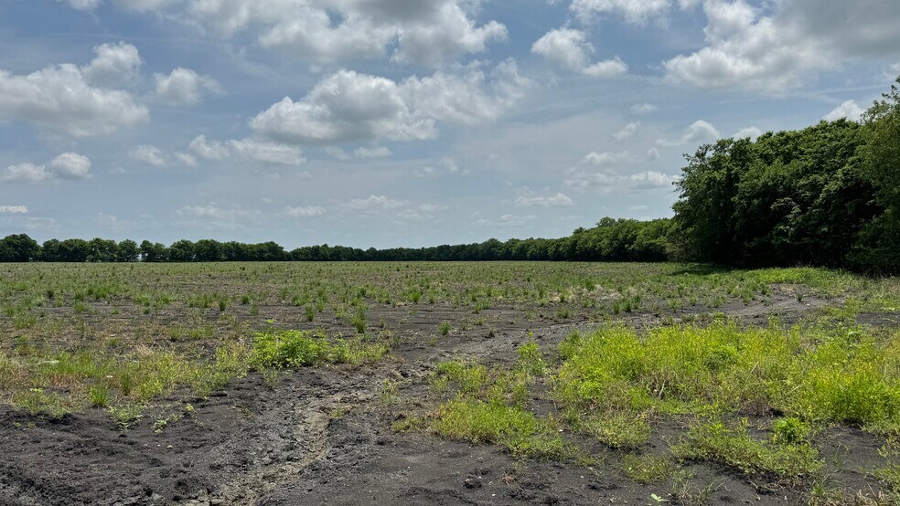 More Photos Of 9024 FM 64, Pecan Gap Land For Sale