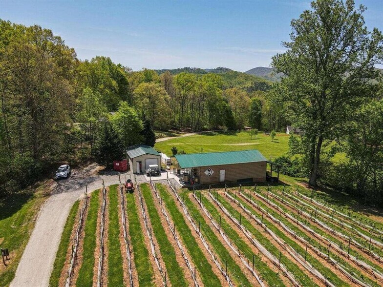 More Photos Of 366 Paradise Rd, Blairsville Winery Vineyard For Sale