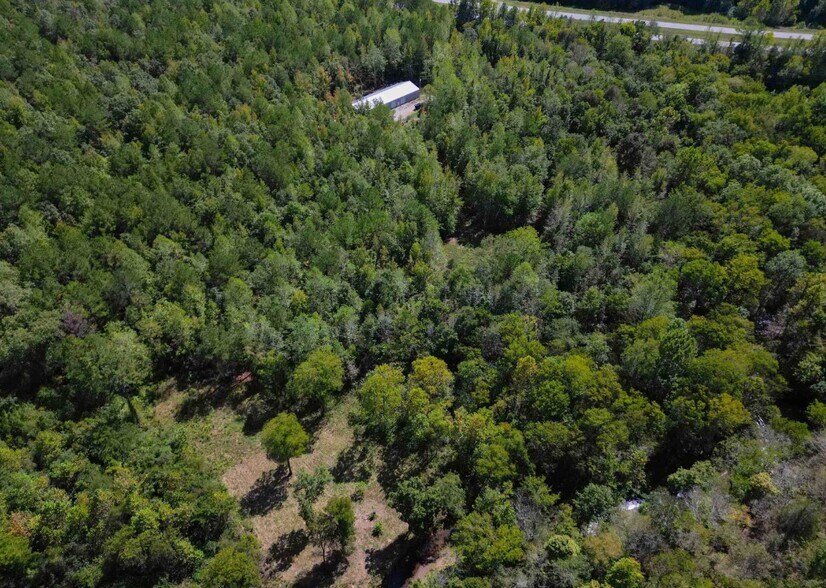 More Photos Of 19789 Alabama 24 Hwy, Russellville Land For Sale