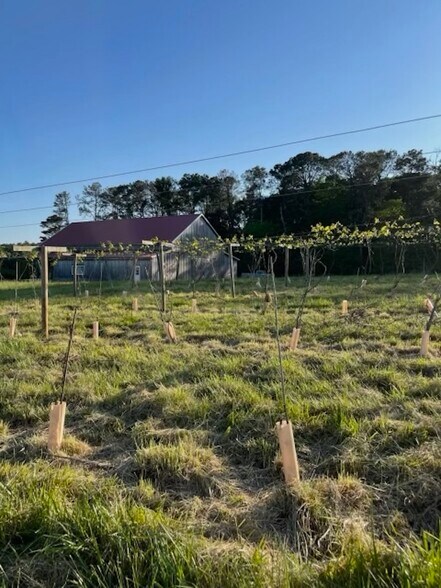 More Photos Of 77 Little River Rd, Carrollton Specialty For Sale