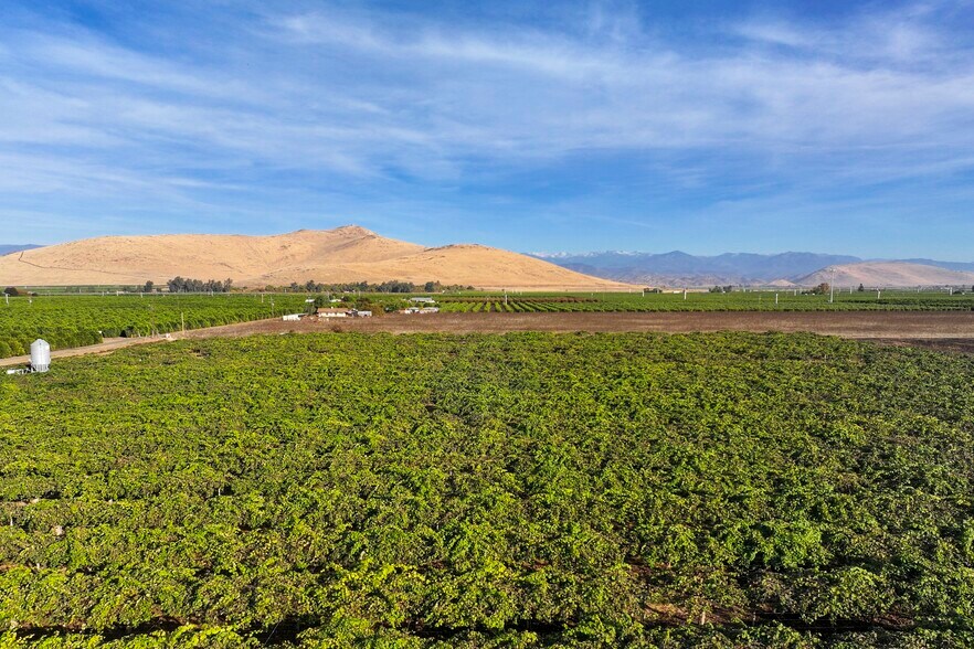 More Photos Of 39496 Road 136, Cutler Land For Sale