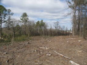 More Photos Of Highway 211, Calera Land For Sale