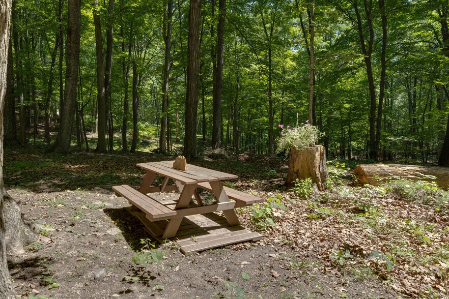 More Photos Of 11 Mountainside Dr, Berkeley Springs Specialty For Sale