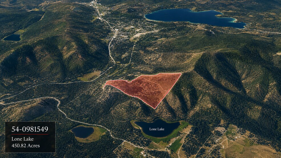 Primary Photo Of Legacy Timber & Recreation Tract Near Lone Lake, Marion Land For Sale