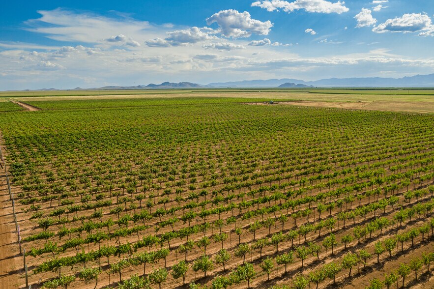 More Photos Of NWC E Kimzey Rd and Bell Ranch Rd, Willcox Land For Sale