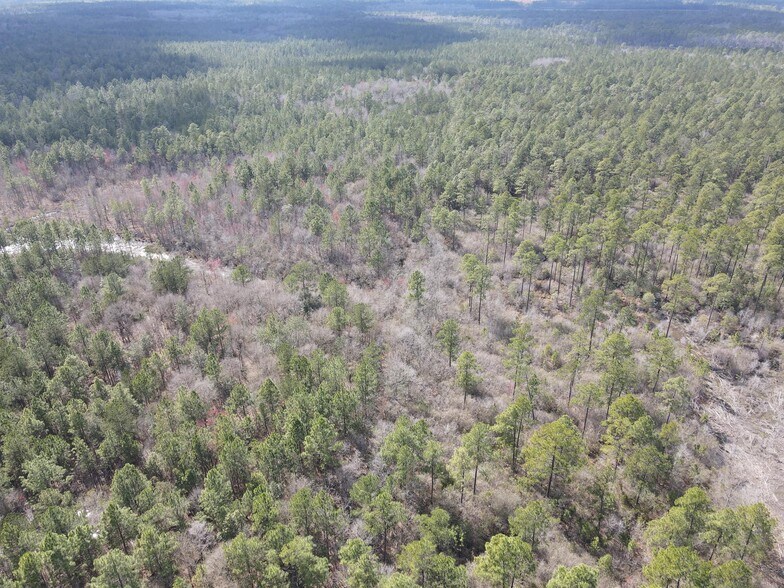 More Photos Of 0 Highway 43 N., Axis Land For Sale