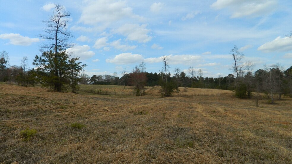 More Photos Of 320 Steve Tate Hwy, Marble Hill Land For Sale