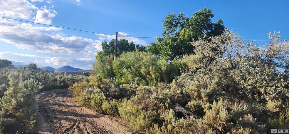 More Photos Of 5155 US Highway 50, Carson City Land For Sale