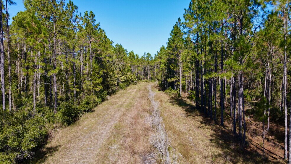 More Photos Of 4597 State 24 rd, Bronson Land For Sale