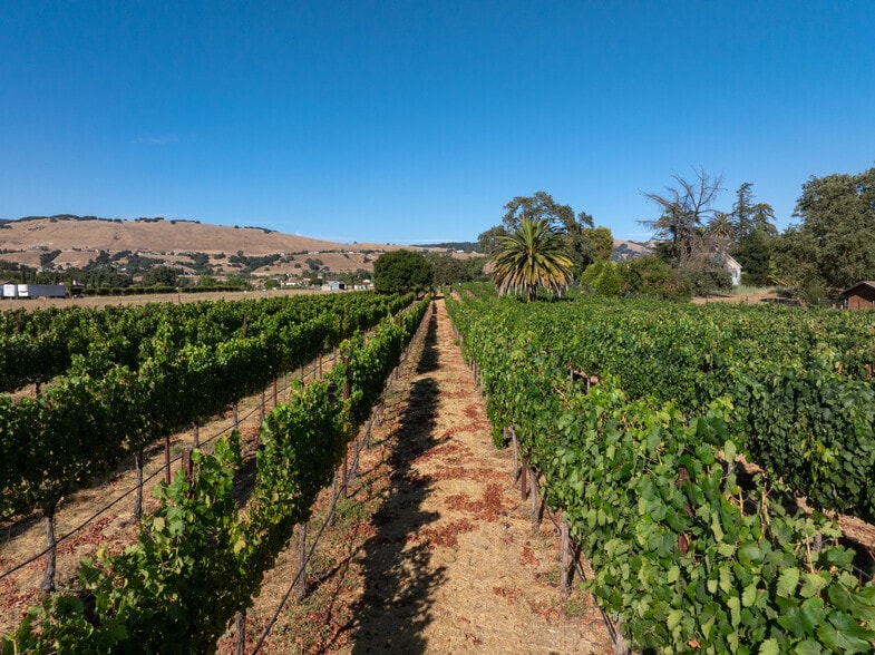 More Photos Of 2143 Buena Vista Ave, Gilroy Winery Vineyard For Sale