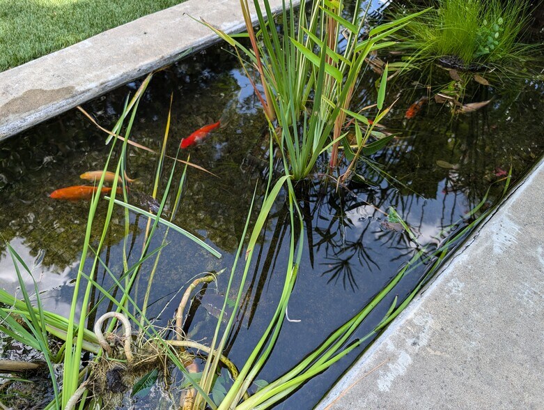 More Photos Of 3906 Menchaca Rd, Austin Medical For Lease