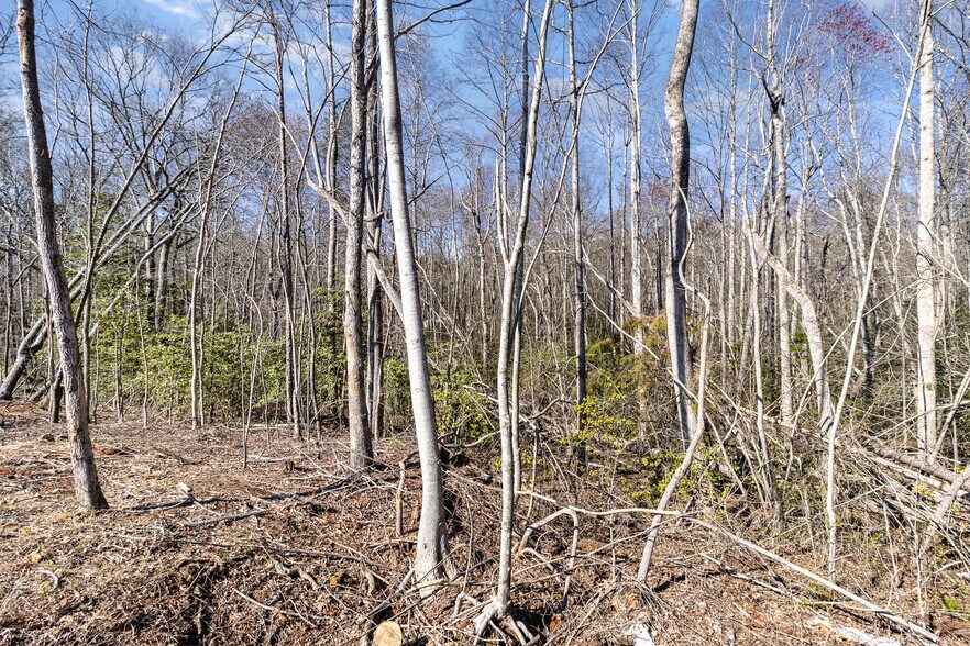 More Photos Of 157 Zion School Rd, Easley Land For Sale