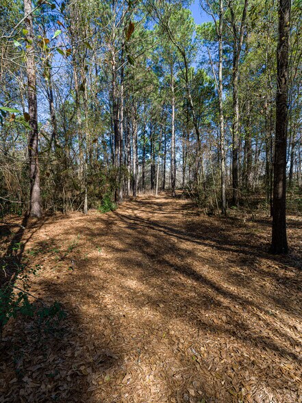 More Photos Of 11201 County Road 203, Plantersville Specialty For Sale