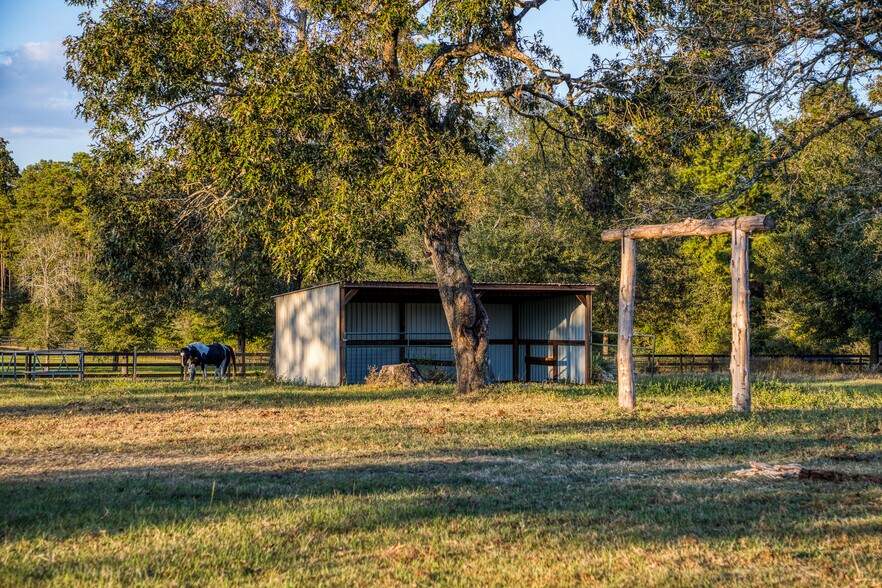 More Photos Of 23192 Murrell Rd, Hockley Lodge Meeting Hall For Sale