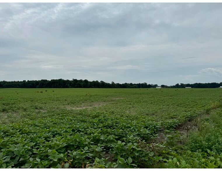 More Photos Of 12980 N. FOSTORIA RD., Bradner Land For Sale