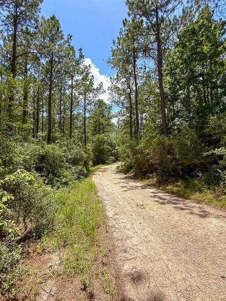 More Photos Of 1682 FM 980 Rd, Huntsville Land For Sale