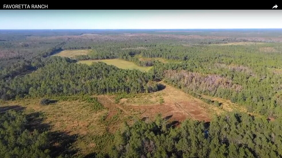 More Photos Of 0 Favoretta (County 200) Rd, Bunnell Land For Sale