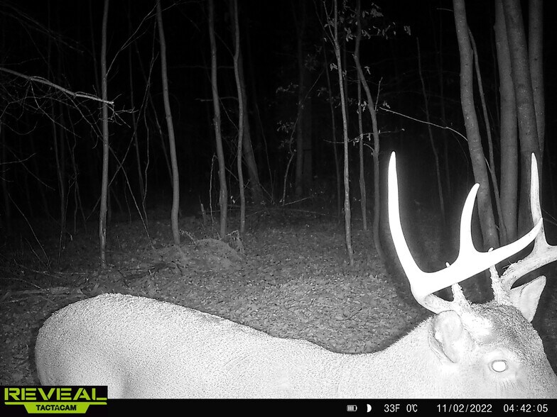 More Photos Of Fisher Road, Iola Land For Sale