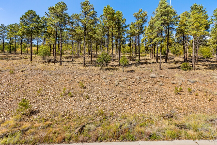 More Photos Of 1300 W Lower Coconino Ave, Flagstaff Land For Sale