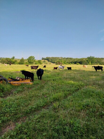 More Photos Of TBD FM 857 Rd, Grand Saline Land For Sale