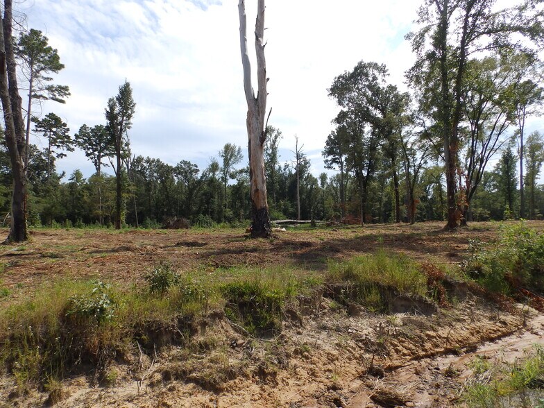 More Photos Of 16393 Highway 31, Tyler Land For Sale