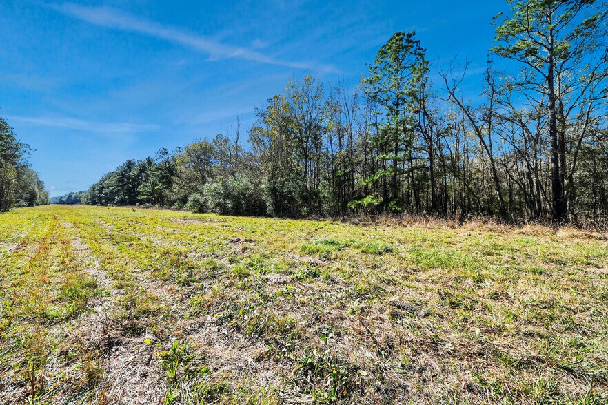 More Photos Of 0 CR6242, Huffman Land For Sale