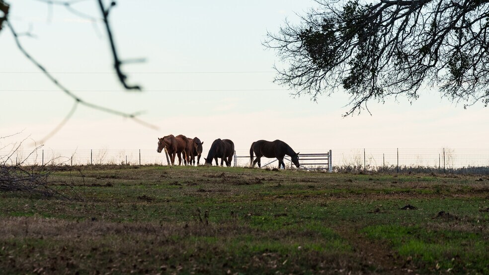 More Photos Of 11 acs Pop Noah Rd, Collinsville Land For Sale