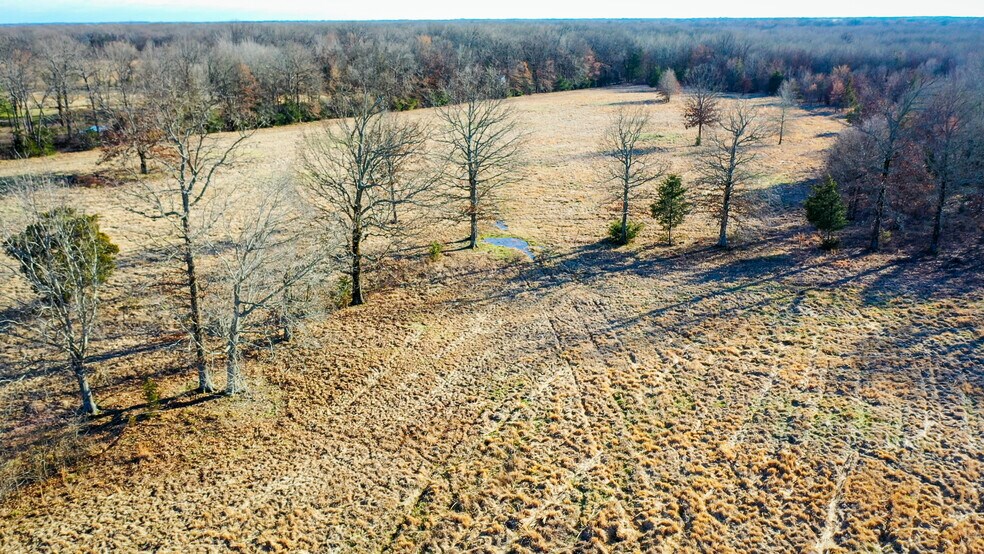 More Photos Of 1200 County 1255 rd, Detroit Land For Sale