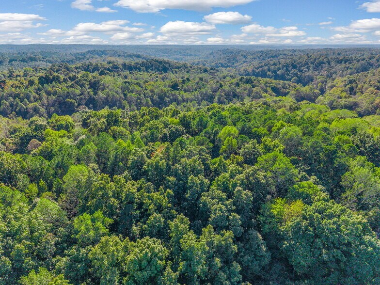More Photos Of 0 Cox Hollow Rd, Dover Land For Sale
