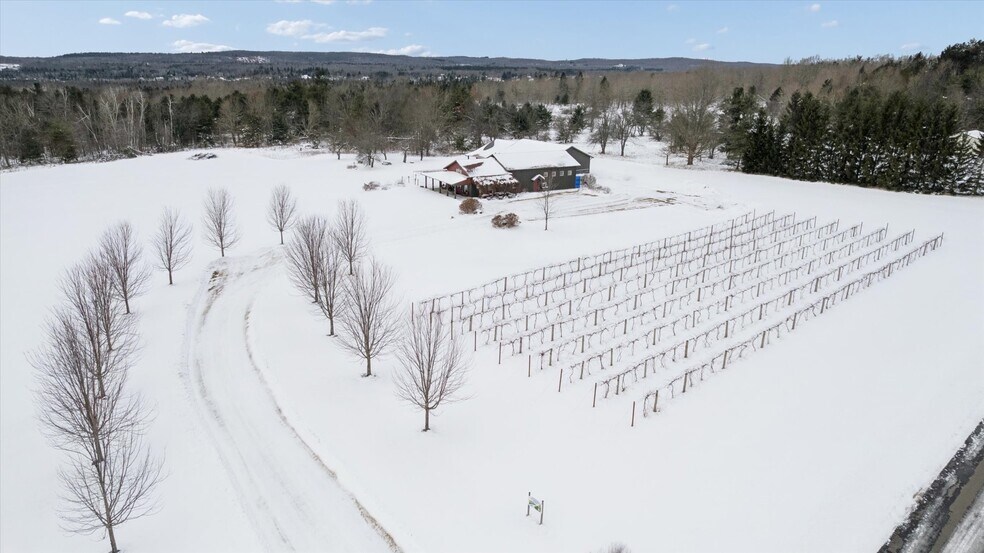 More Photos Of 8370 Lakeview Rd, Alanson Winery Vineyard For Sale