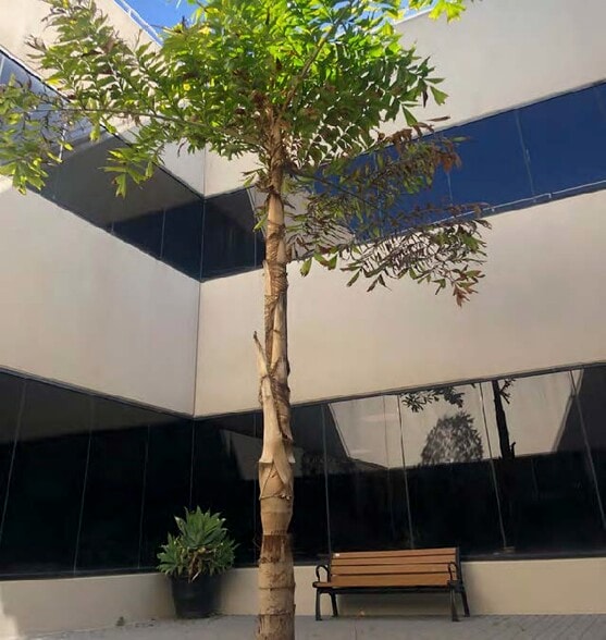 More Photos Of 4010 Watson Plaza Dr, Lakewood Office For Lease