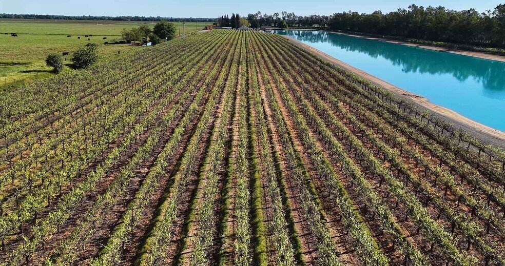 Primary Photo Of 10675 Valensin Rd, Galt Winery Vineyard For Sale