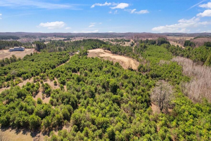 More Photos Of 9553 18 1/2 Rd, Manton Land For Sale