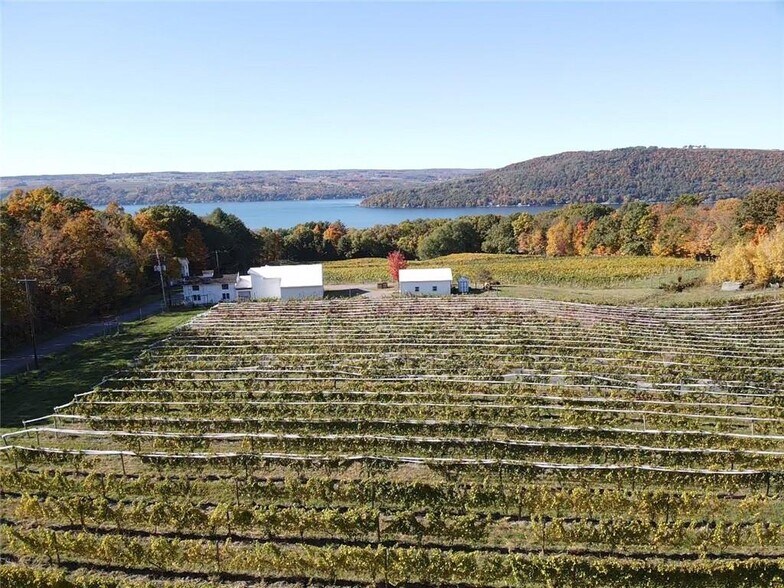 More Photos Of 14630 State Route 54, Hammondsport Winery Vineyard For Sale