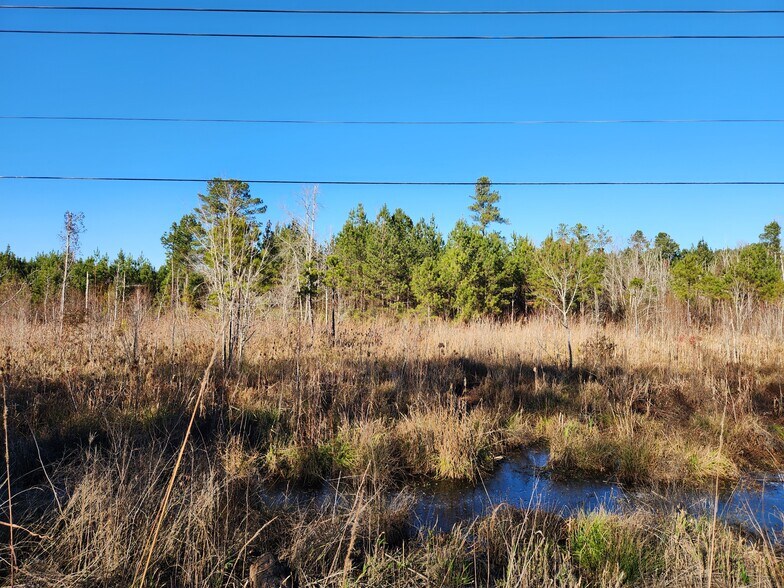 More Photos Of US 264A, Zebulon Land For Sale