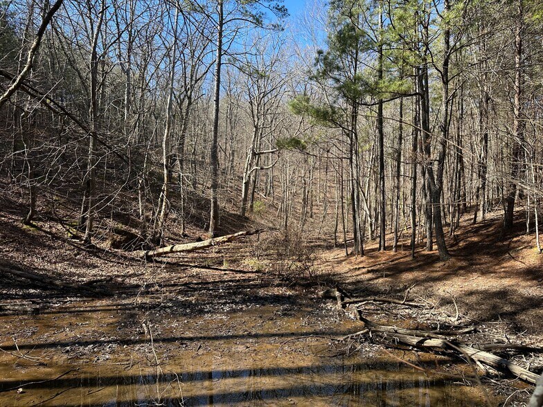 More Photos Of 3472 Prior Station Rd, Cedartown Land For Sale