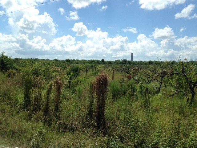 More Photos Of SW Amaryllis Ave @ SW Warfield Blvd., Indiantown Land For Sale