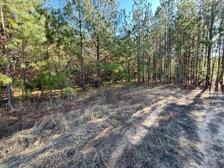 More Photos Of 4212 US Highway 378 W, Mc Cormick Land For Sale