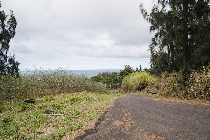 More Photos Of Tract E, Honokaa Land For Sale