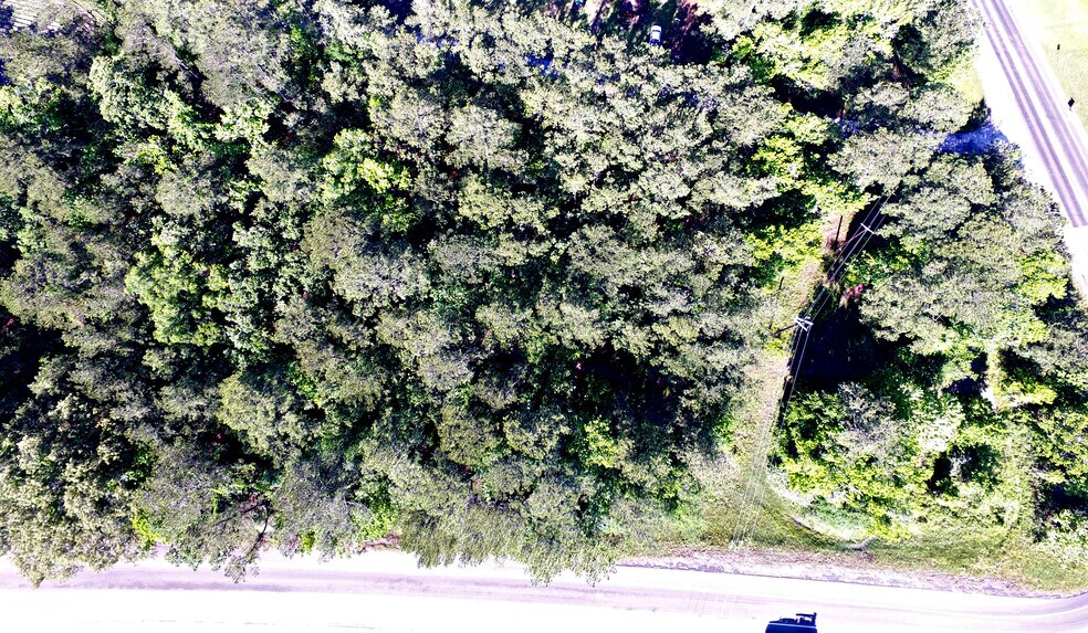 More Photos Of TBD Hwy. 96 N, Brookeland Land For Sale