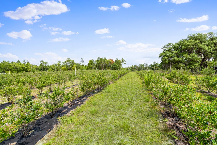 More Photos Of 130 Strawberry ln, Pomona Park Land For Sale