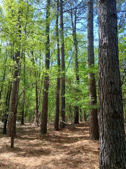 More Photos Of 414000 E 1920 Rd, Antlers Land For Sale