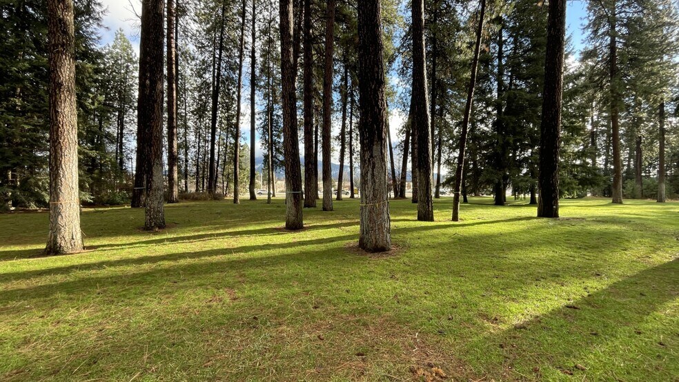 Primary Photo Of NNA Mineral Dr, Coeur d'Alene Land For Sale