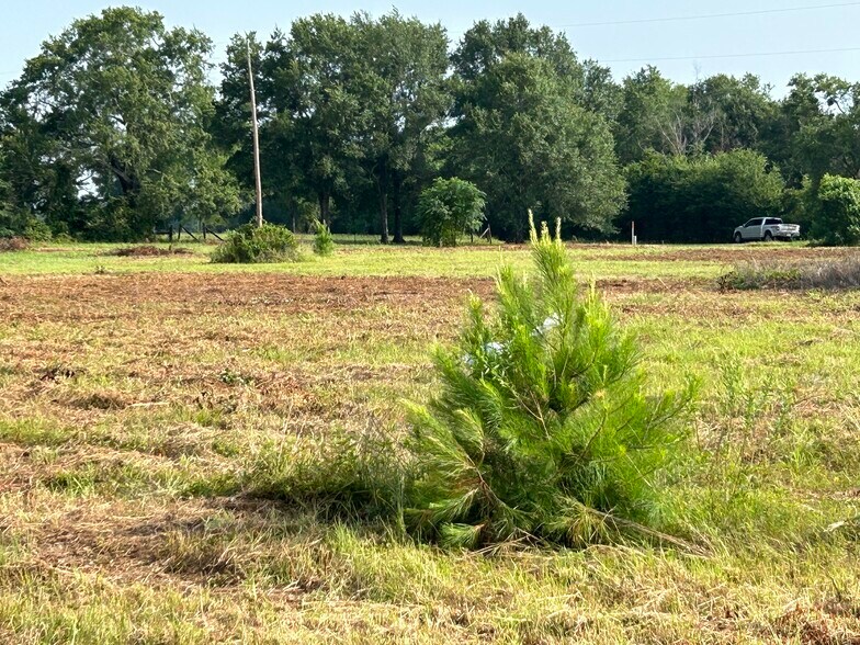 More Photos Of South US Hwy 79/84, Palestine Land For Sale