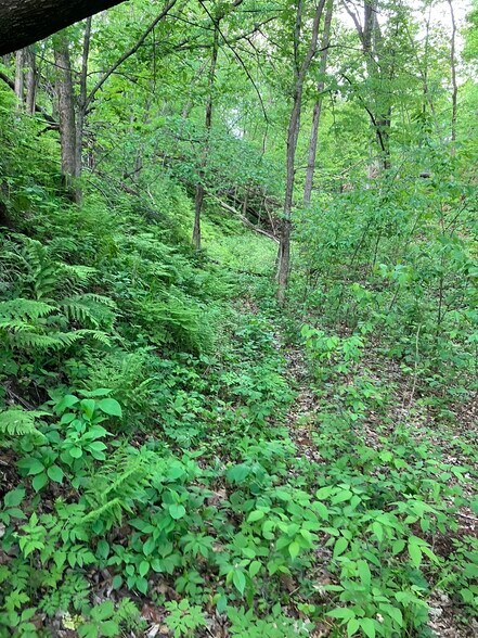 More Photos Of N3739 Bear Pen Rd, Arkansaw Land For Sale