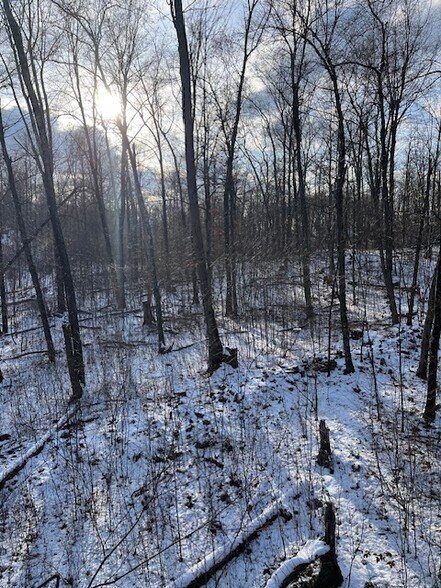 More Photos Of 152 Lily Lake Rd, Highland Land For Sale